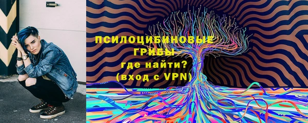 сатива Семикаракорск
