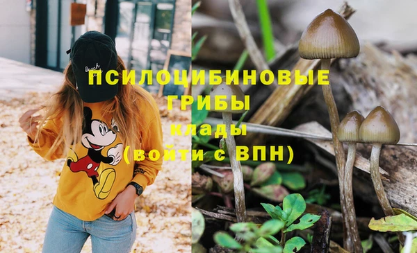кокаин Пестово