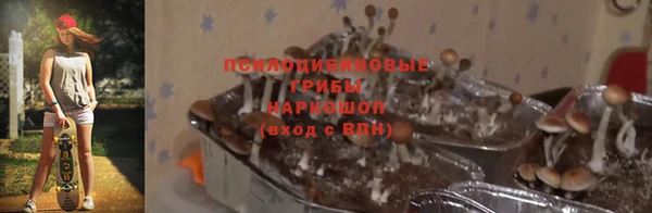 сатива Семикаракорск