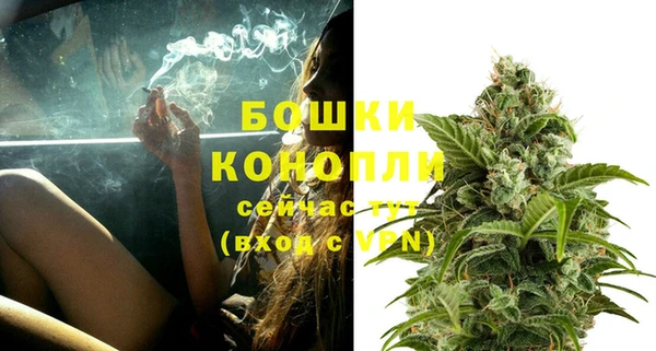 сатива Семикаракорск
