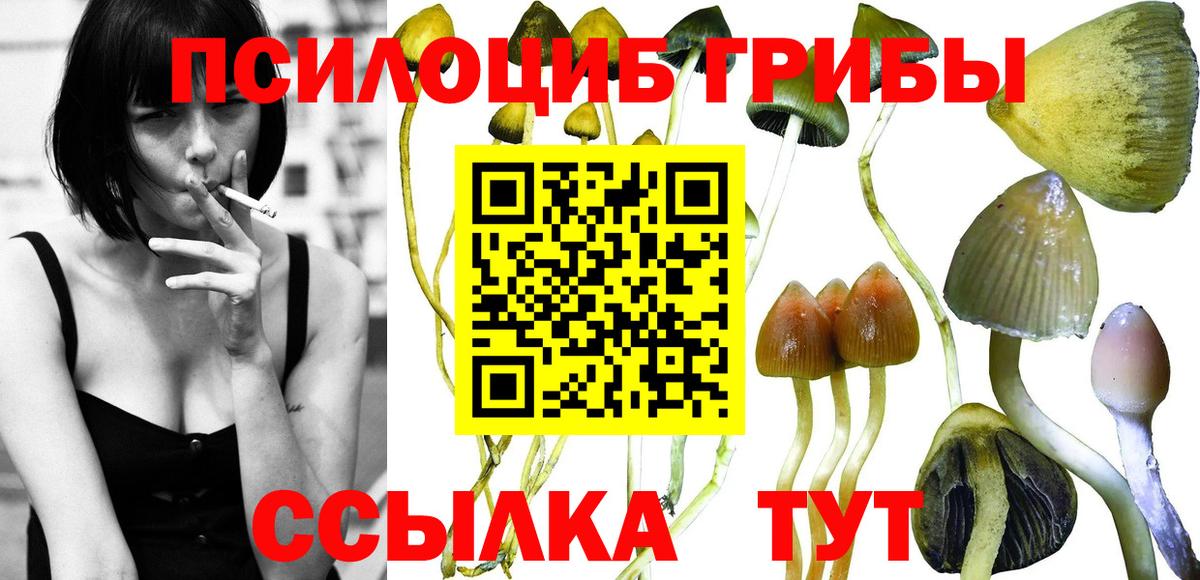 Псилоцибиновые грибы ЛСД Ивантеевка