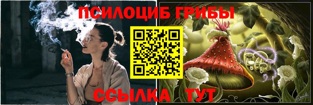 Псилоцибиновые грибы Cubensis  Псилоцибиновые грибы GOLDEN TEACHER  Ивантеевка  Вход с VPN 