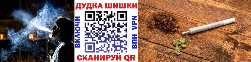 Бошки Шишки ГИДРОПОН  где найти наркотики  Ивантеевка 